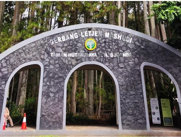 Taman Hutan Raya Juanda: Surga Wisata Alam di Tengah Kota Bandung