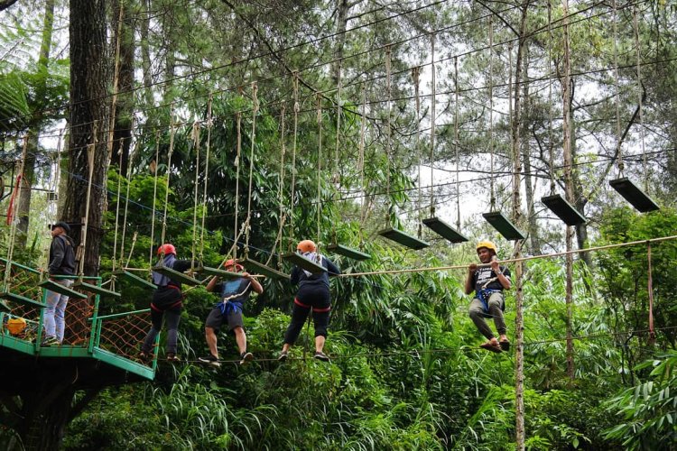 Petualangan Seru di Wisata Outbound Cikole Bandung