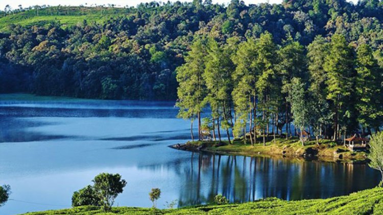 Keindahan Situ Patenggang: Danau dan Alam yang Menenangkan