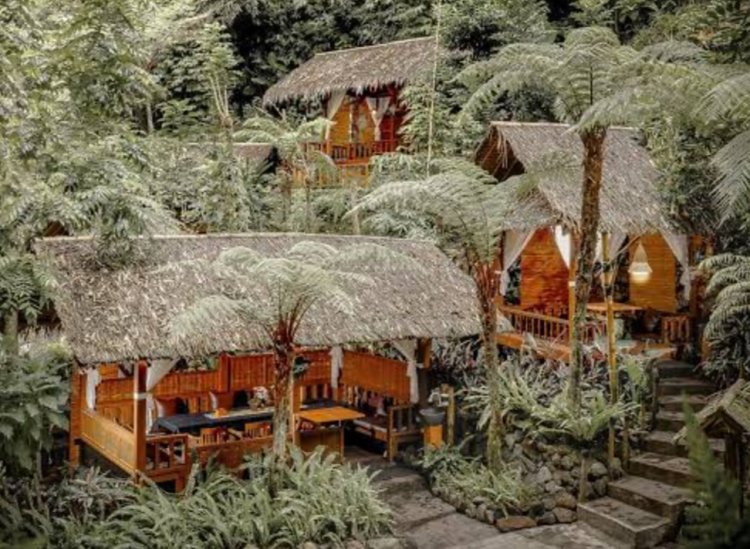 Kampung Daun: Tempat Wisata Kuliner yang Penuh Keindahan Alam