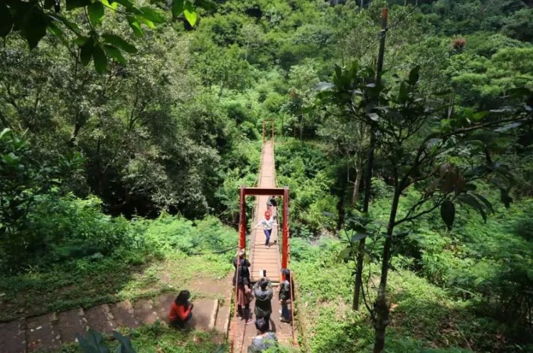 Hutan Djuanda: Menikmati Wisata Alam yang Sejuk di Bandung