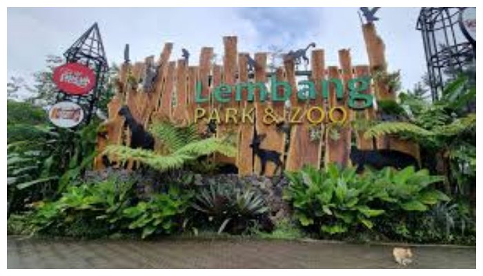 Explore Bandung Zoo: Tempat Liburan Edukatif untuk Anak