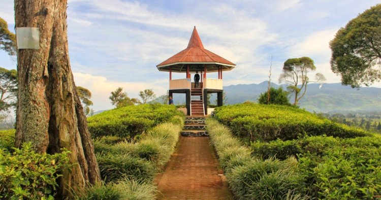 Wisata Petualangan di Gunung Malabar Bandung