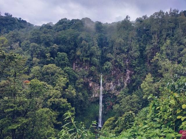 Taman Hutan Raya Djuanda: Wisata Alam yang Menyegarkan