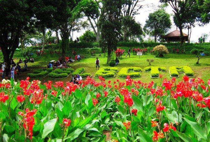 Berkunjung ke Taman Bunga Cihideung Bandung