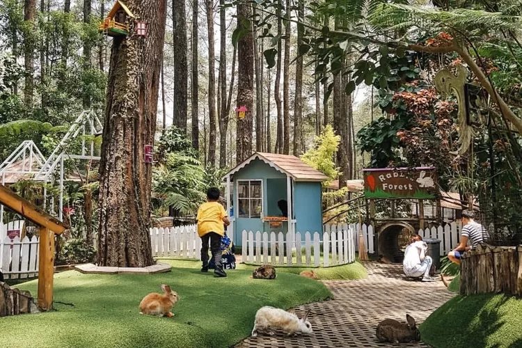 Liburan Keluarga Asyik di Orchid Forest Cikole Bandung