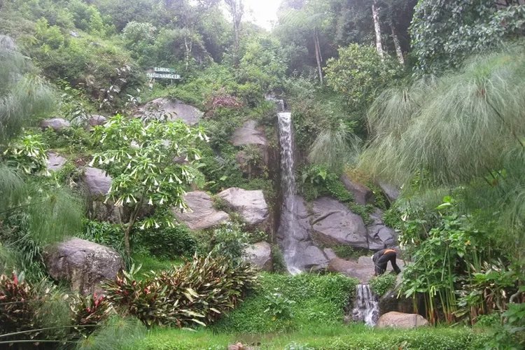 Menikmati Keindahan Alam di Gunung Bukit Tunggul Bandung