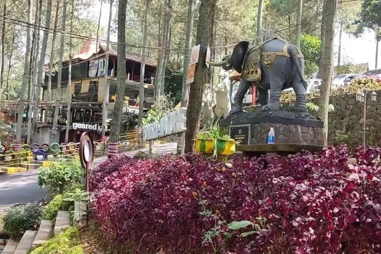 Eksplorasi Pesona Alam di Kampung Dago Pakar Bandung yang Belum Banyak Terjamah